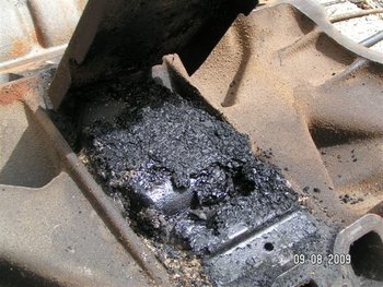 PICT0011.JPG