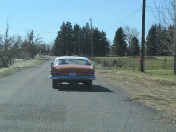 following Ray.jpg