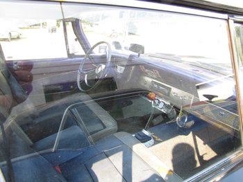 IMG_0648.jpg