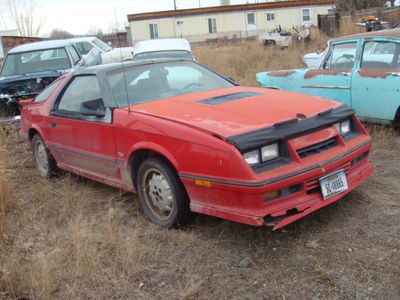 1986 Daytona
