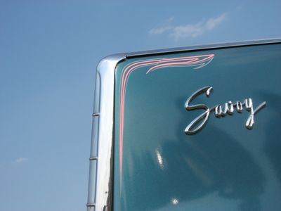 A fin with pin striping
