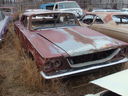 1964Newport.JPG