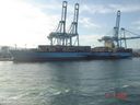Charlotte_C__Rickmers.jpg